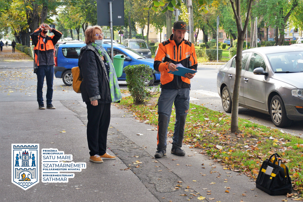 Amplă acțiune de verificare a sănătății copacilor din municipiul Satu Mare