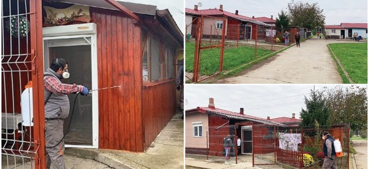 Asistații social din Satu Mare, puși la treabă