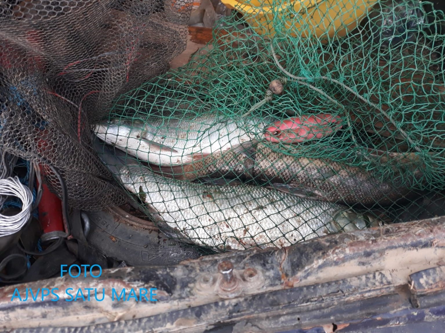 Braconaj pe Someș. Individ prins în flagrant ”pescuind”  cu ajutorul curentului electric