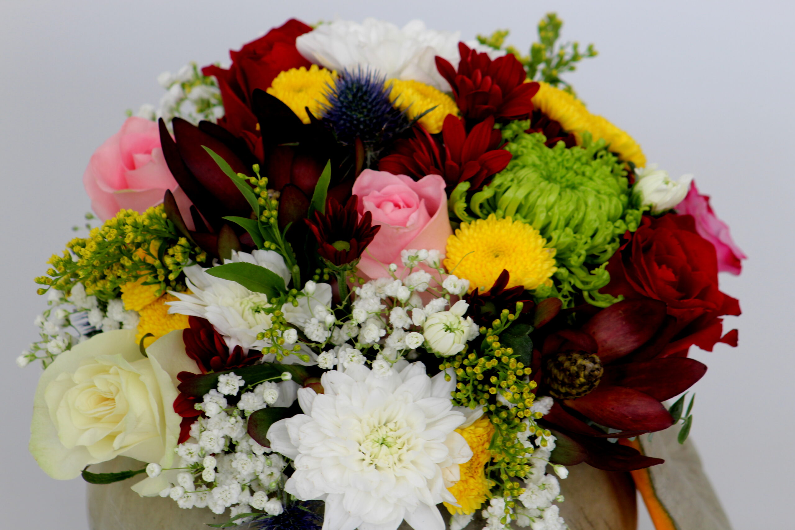 Felicitare de Paşte din partea PMP Satu Mare!