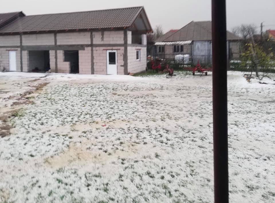 FOTOGALERIE. GRINDINĂ din ABUNDENȚĂ în județ. Unde a CĂZUT GHEAȚĂ