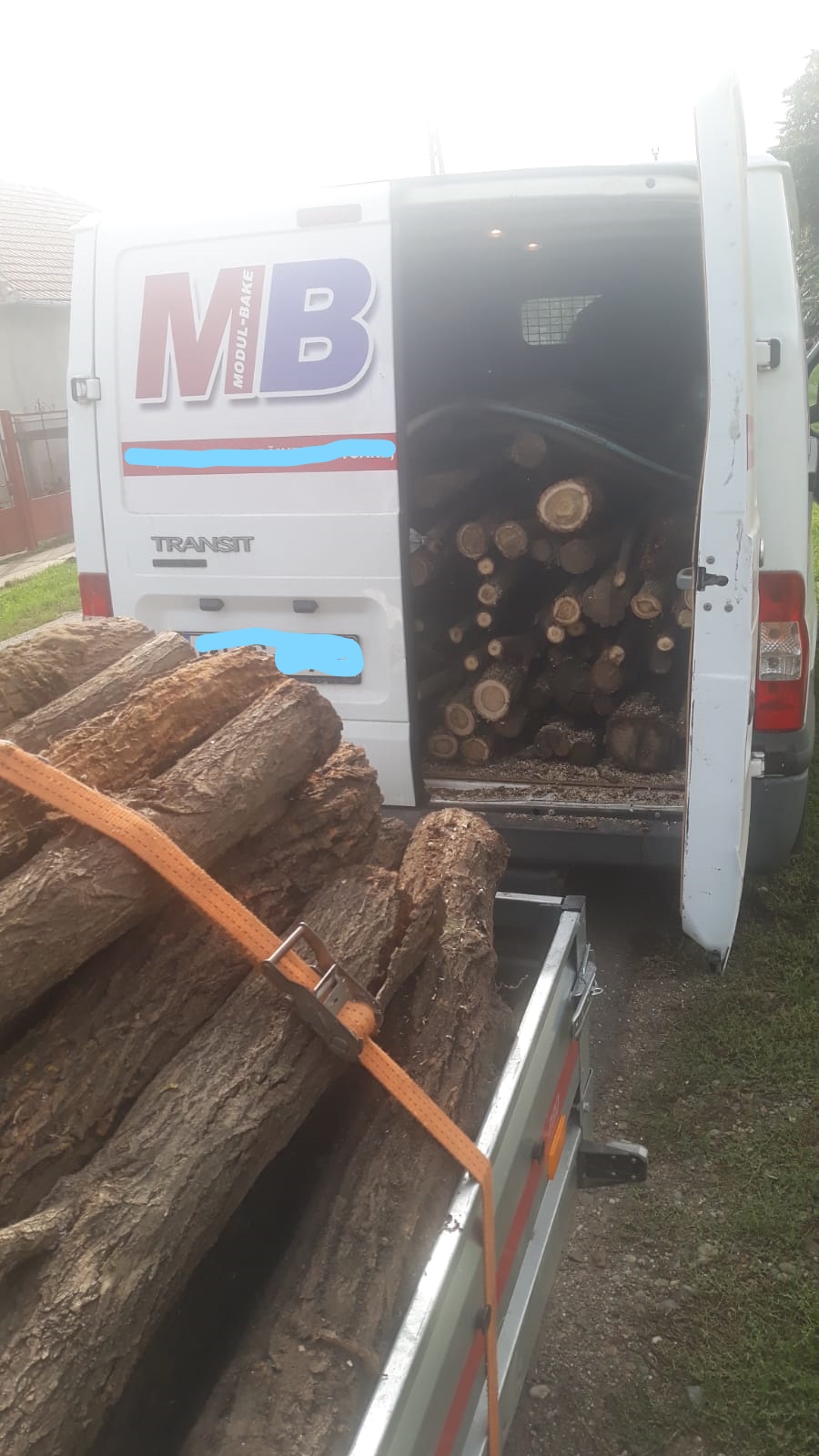 FOTO. Transport ILEGAL de lemne interceptat de jandarmi. Au fost aplicate amenzi