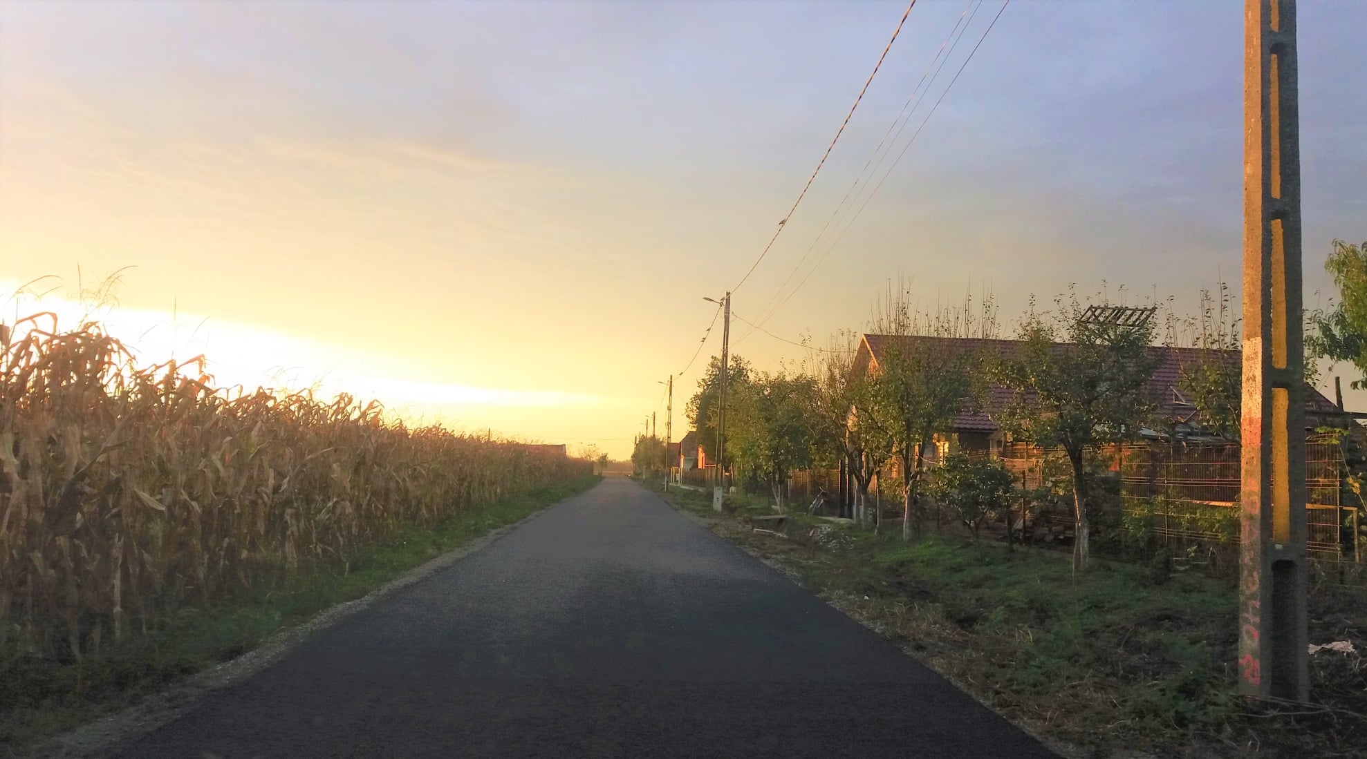 Străzi asfaltate în Vetiş