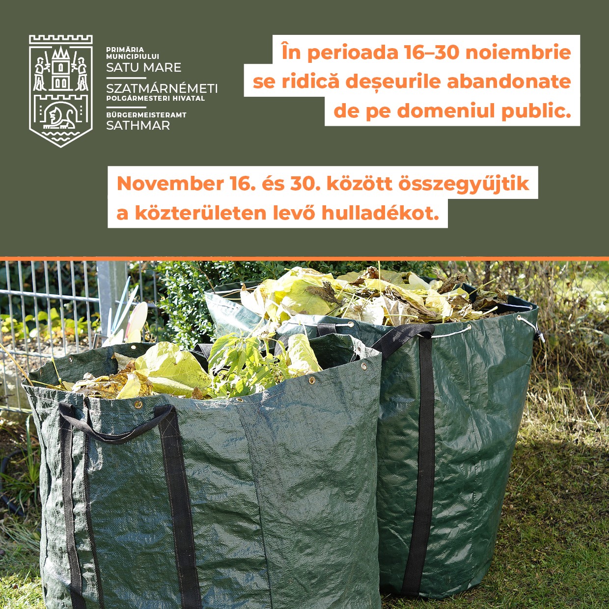 Deșeurile abandonate, colectate