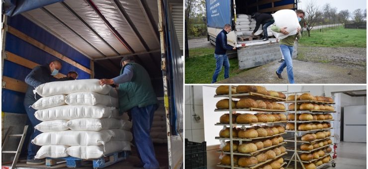 Donație impresionantă a fermierilor sătmăreni pentru copiii orfani