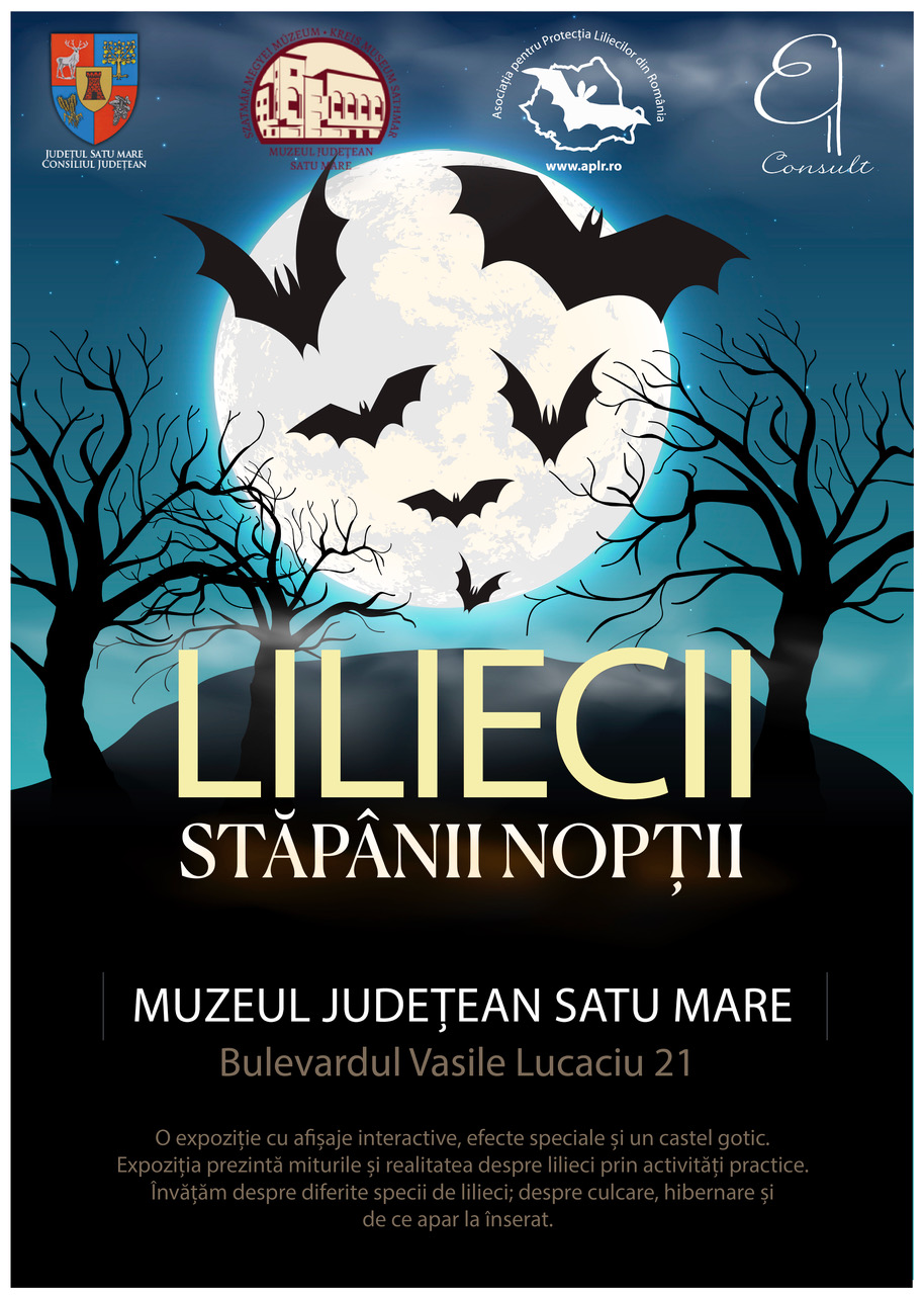 Expoziție la Satu Mare: „LILIECII - Stăpânii Nopții”