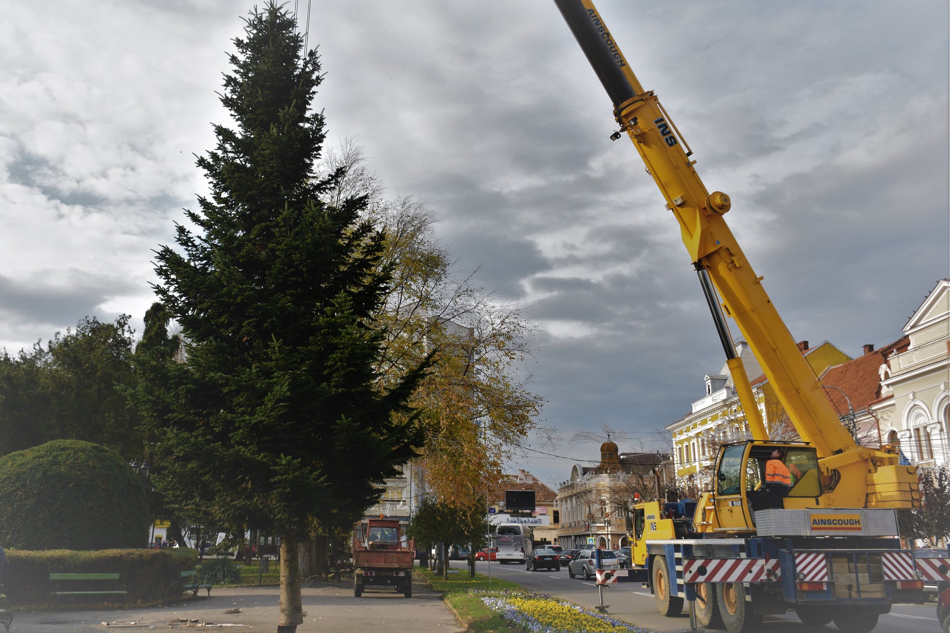 A fost amplasat bradul de  Crăciun în centrul municipiului Satu Mare