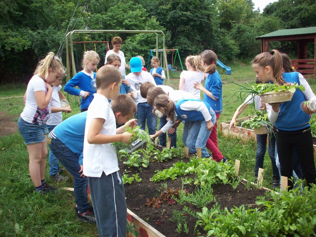 Asociația STEA lansează un nou proiect: “Școala din Grădină”