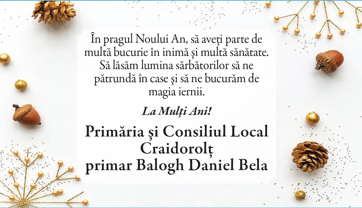 Felicitare de ANUL NOU. Craidorolţ