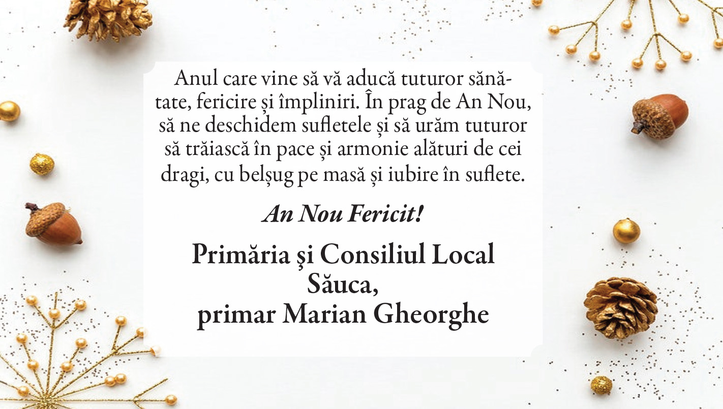 Felicitare de ANUL NOU. Săuca