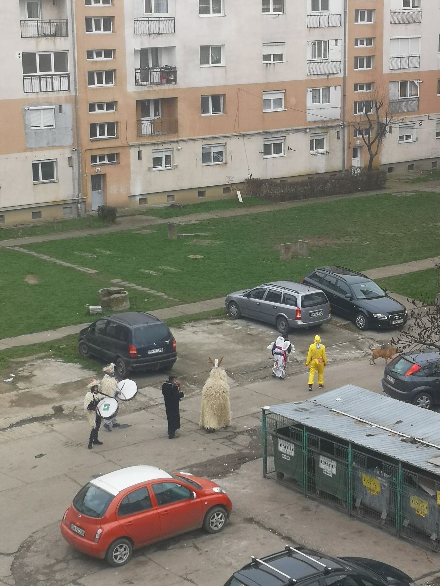 Capra, a furat startul...