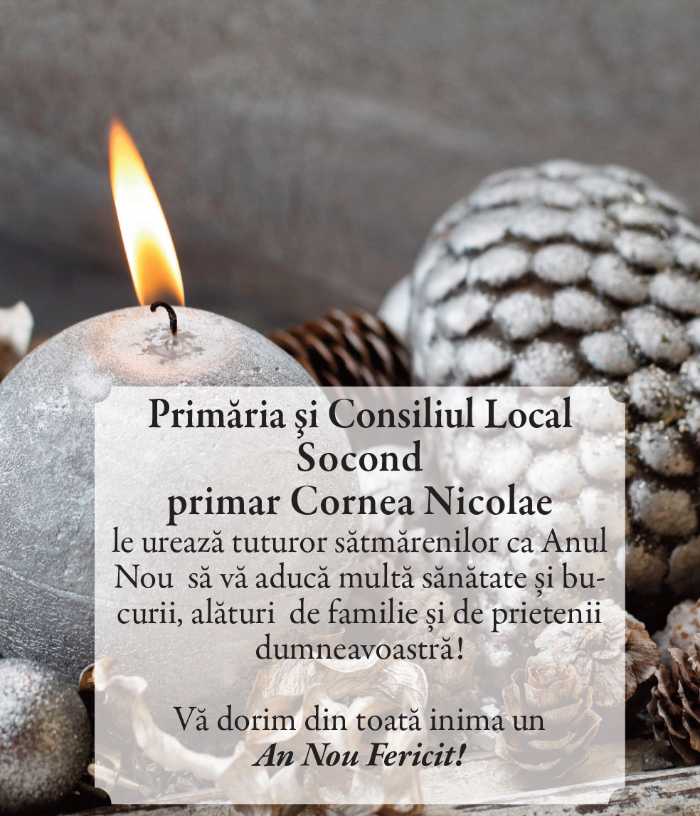 Felicitare de ANUL NOU. Socond