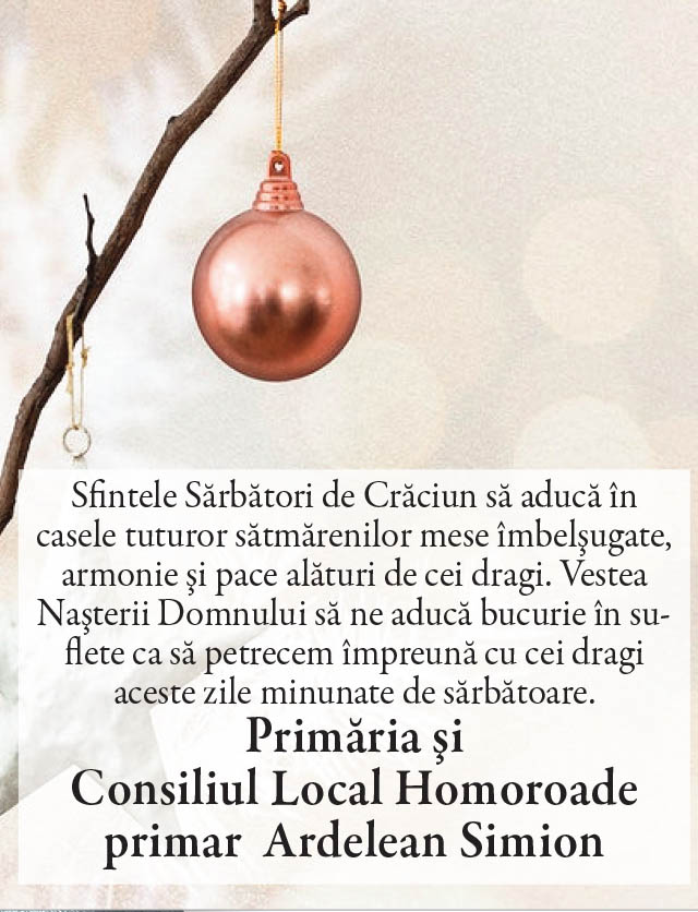 Felicitare Craciun. Primaria HOMOROADE
