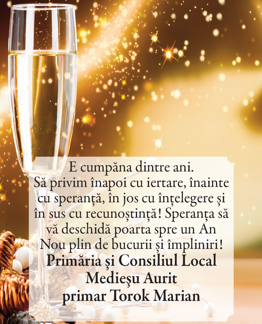 Felicitare de ANUL NOU. Medieşu Aurit