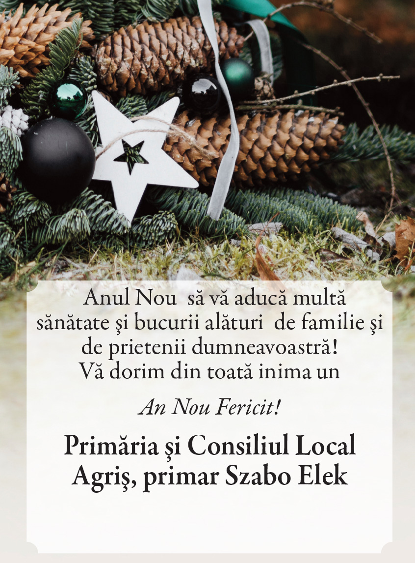 Felicitare de ANUL NOU. Agriş
