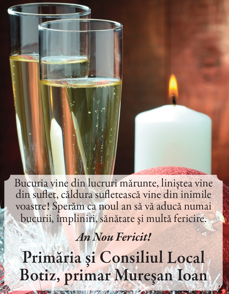 Felicitare de ANUL NOU. Botiz