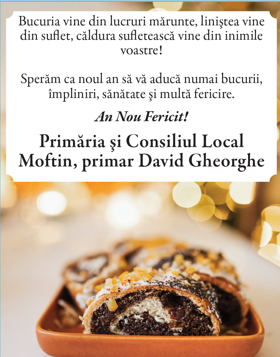 Felicitare de ANUL NOU. Moftin