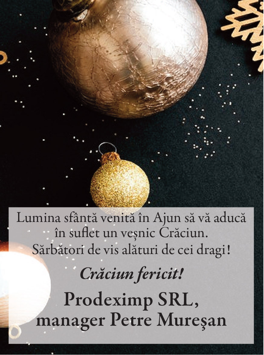 Felicitare Crăciun. PRODEXIMP SRL