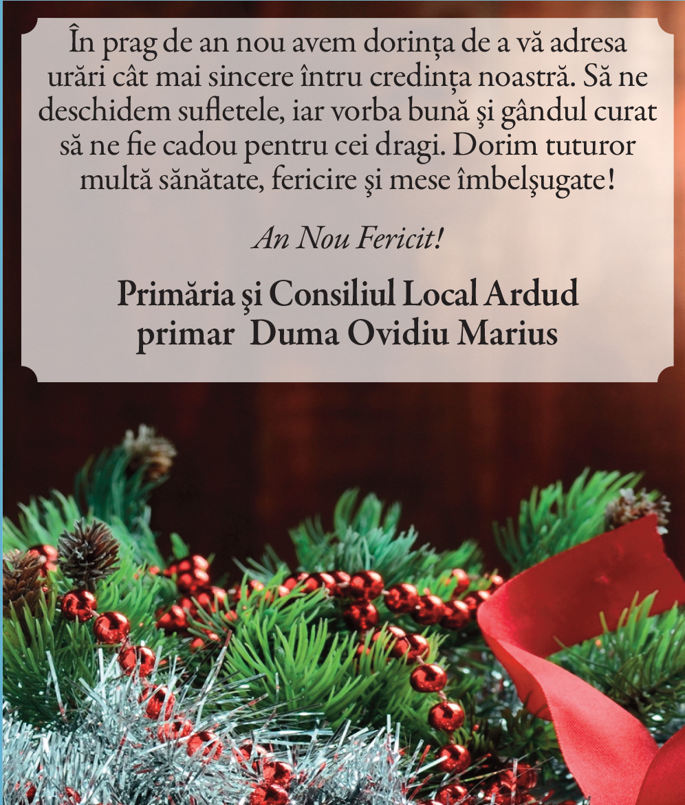 Felicitare de ANUL NOU. Ardud
