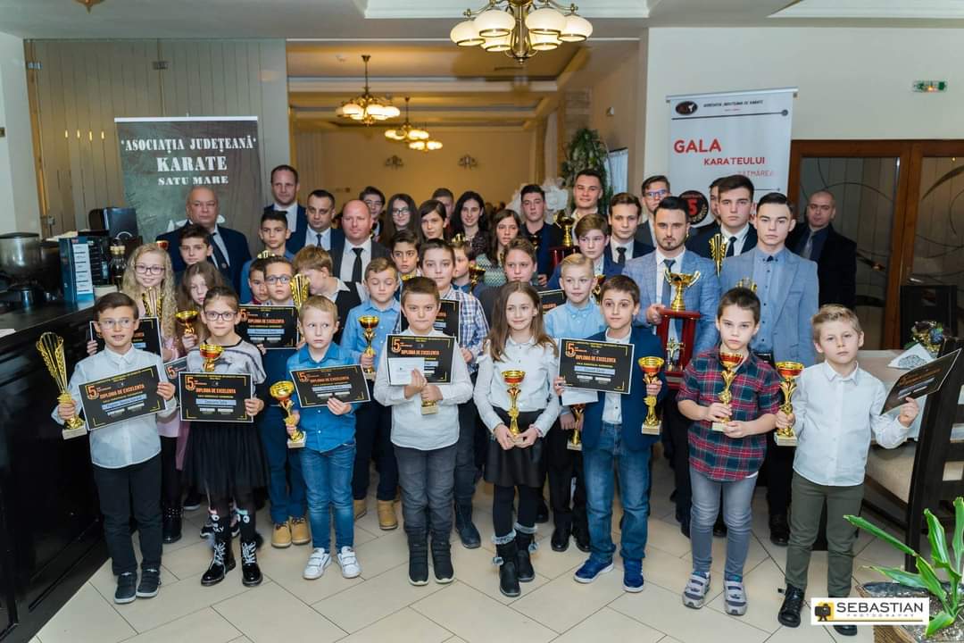 Cei mai buni karateka din județ vor avea parte  de o Gală... online