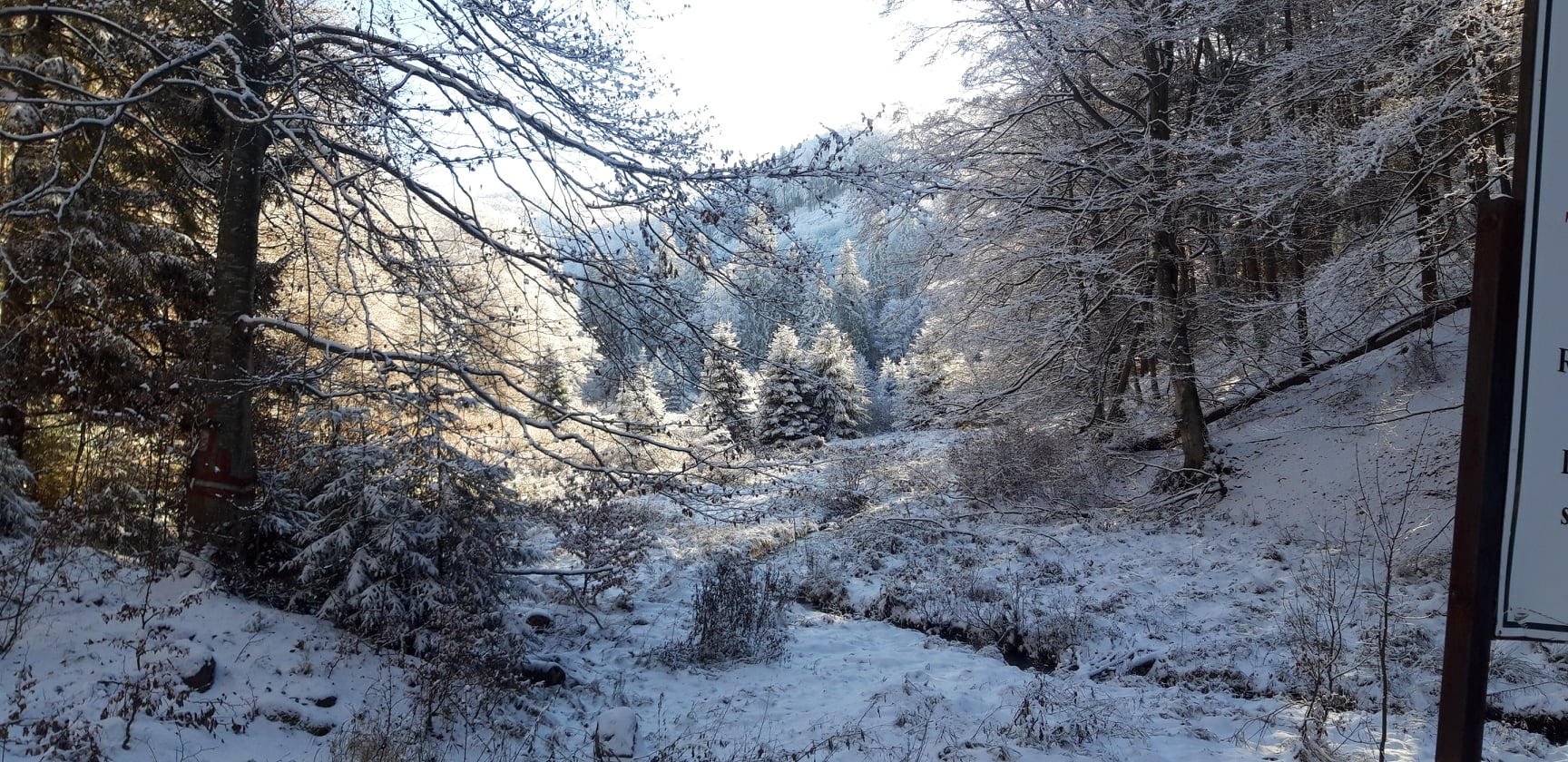 Montaniarzi vi se pregătește ceva – în curând Circuitul Mare al Pietrosei!