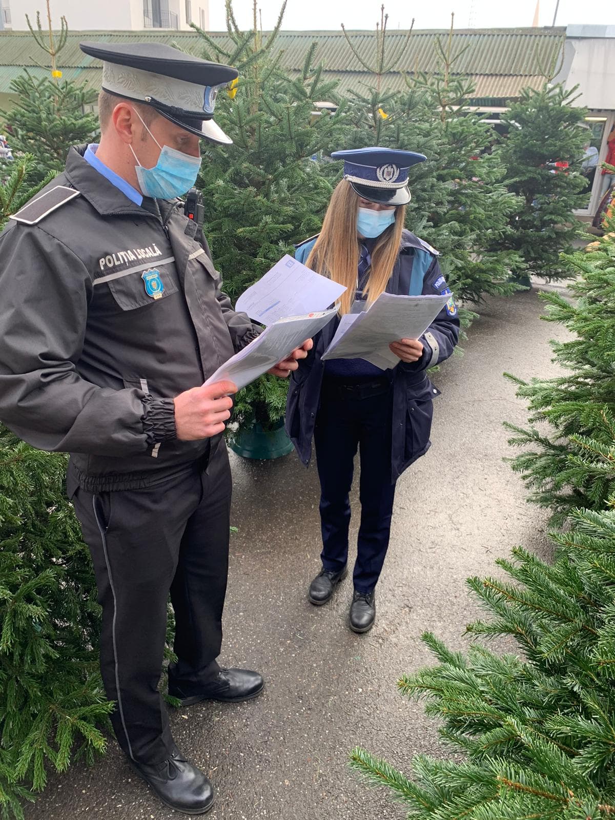 RAZIE. Controale la brazi, făcute de polițiștii sătmăreni