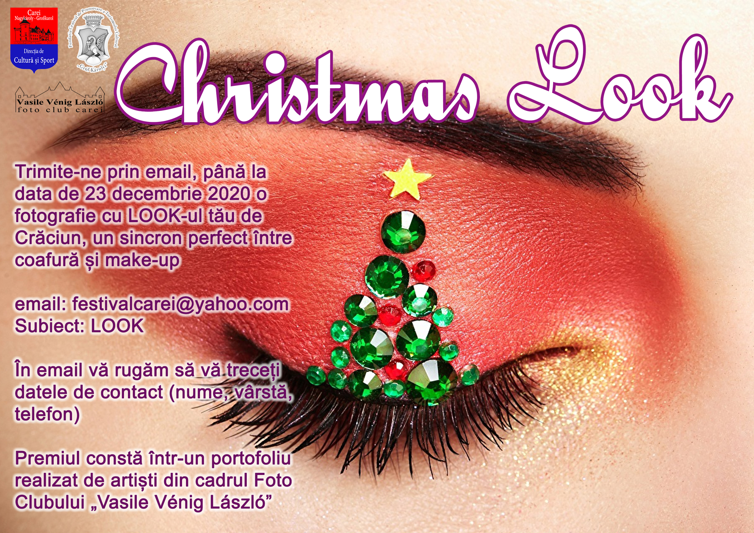 Christmas Look Carei