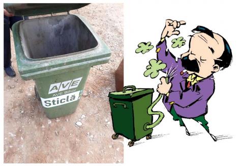 Trăiască curăţenia! Cum a scăpat Sătmarul de o mare mizerie