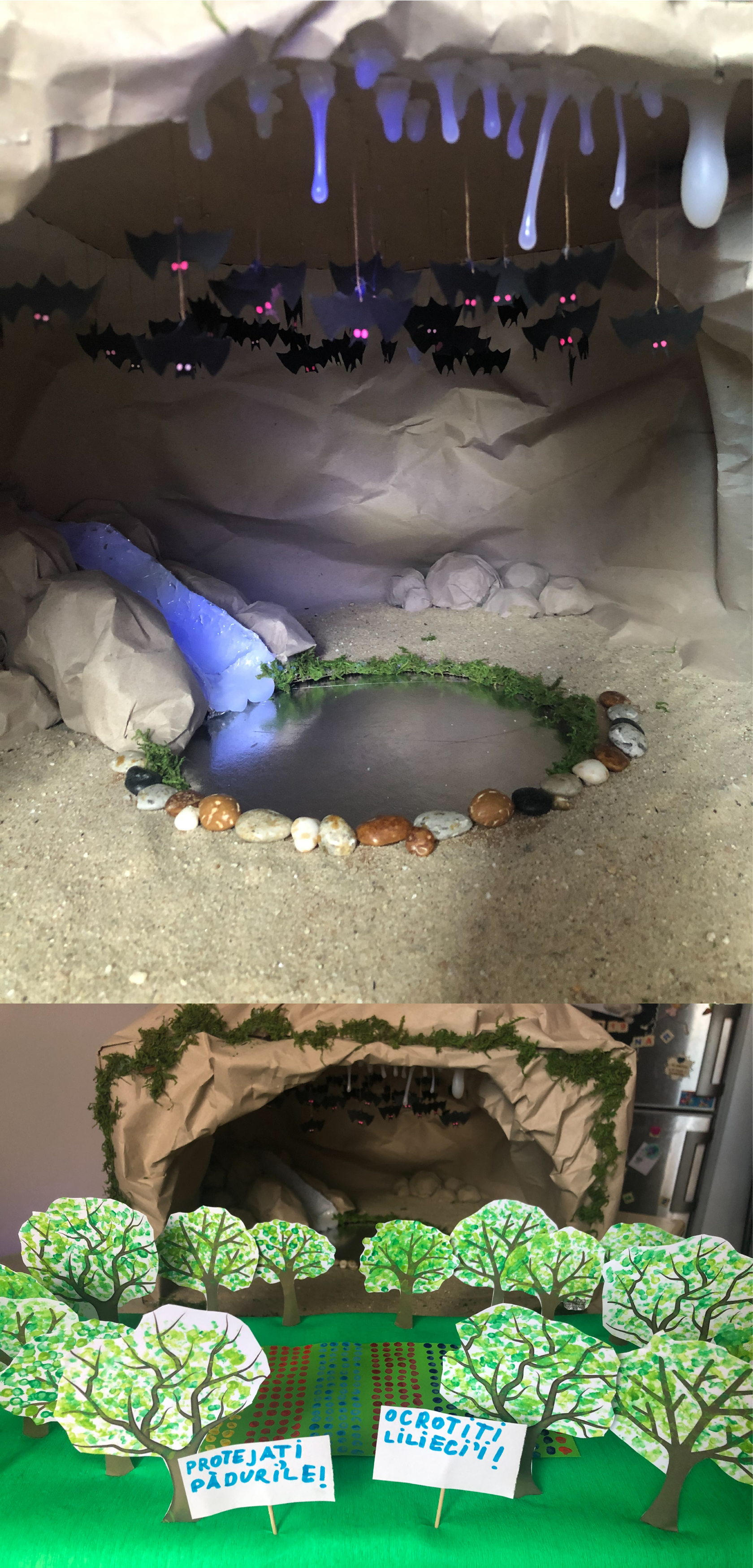 „Liliecii - Stăpânii nopții” un concurs reușit, un mod de a face cunoscut un domeniu aparte într-un cadru general