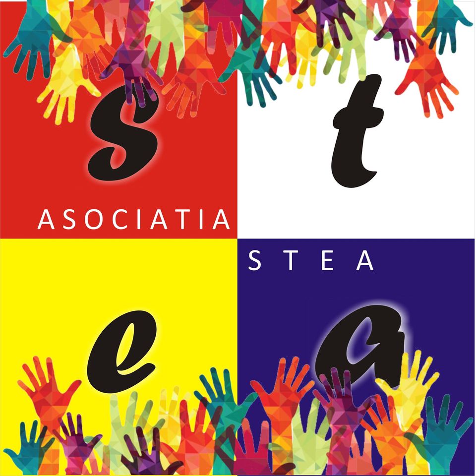 Asociaţia Stea. Programul “Școala din grădină” reprezintă un real succes în comunitățile defavorizate din Satu Mare și Maramureș