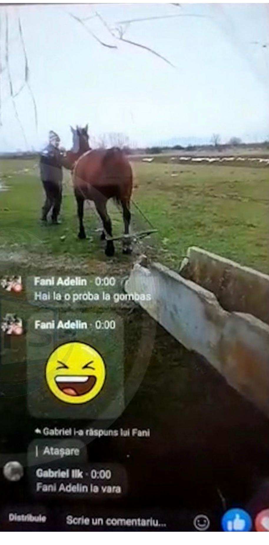 Dosar penal după ce au chinuit un cal