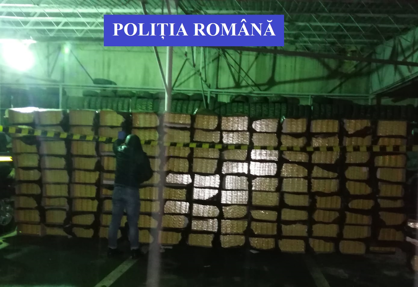 Captură impresionantă în Oaș