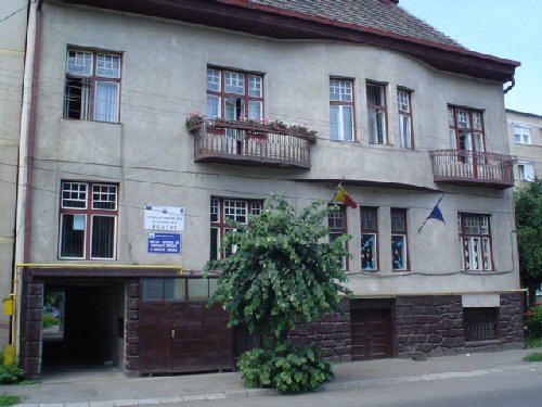 DGASPC angajează asistenți maternali