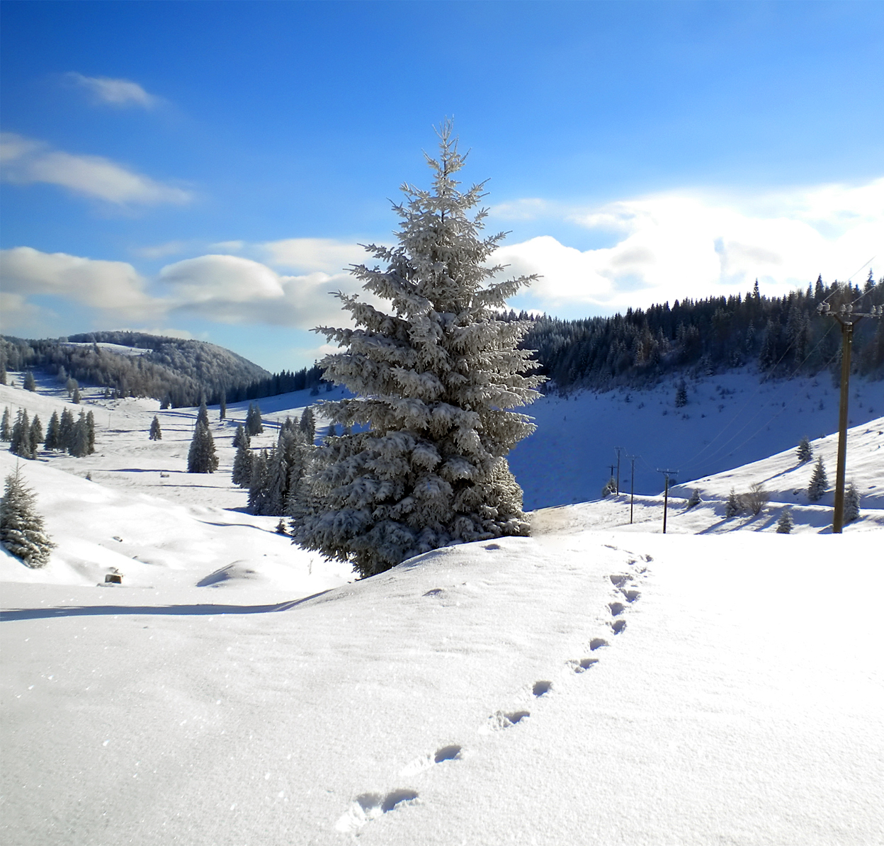 Destinaţii de weekend. Padiş – obiective turistice la superlativ, paradisul carstic al României