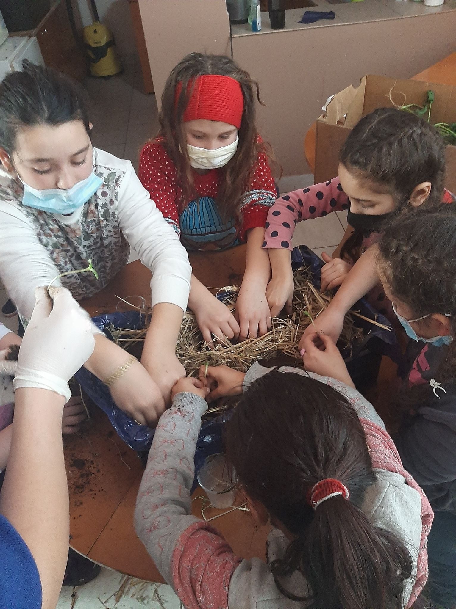 O grădină umple mai mult decât o masă, ea umple întreg sufletul