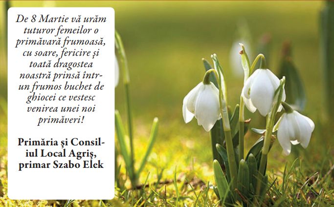 Felicitare "8 Martie" AGRIŞ