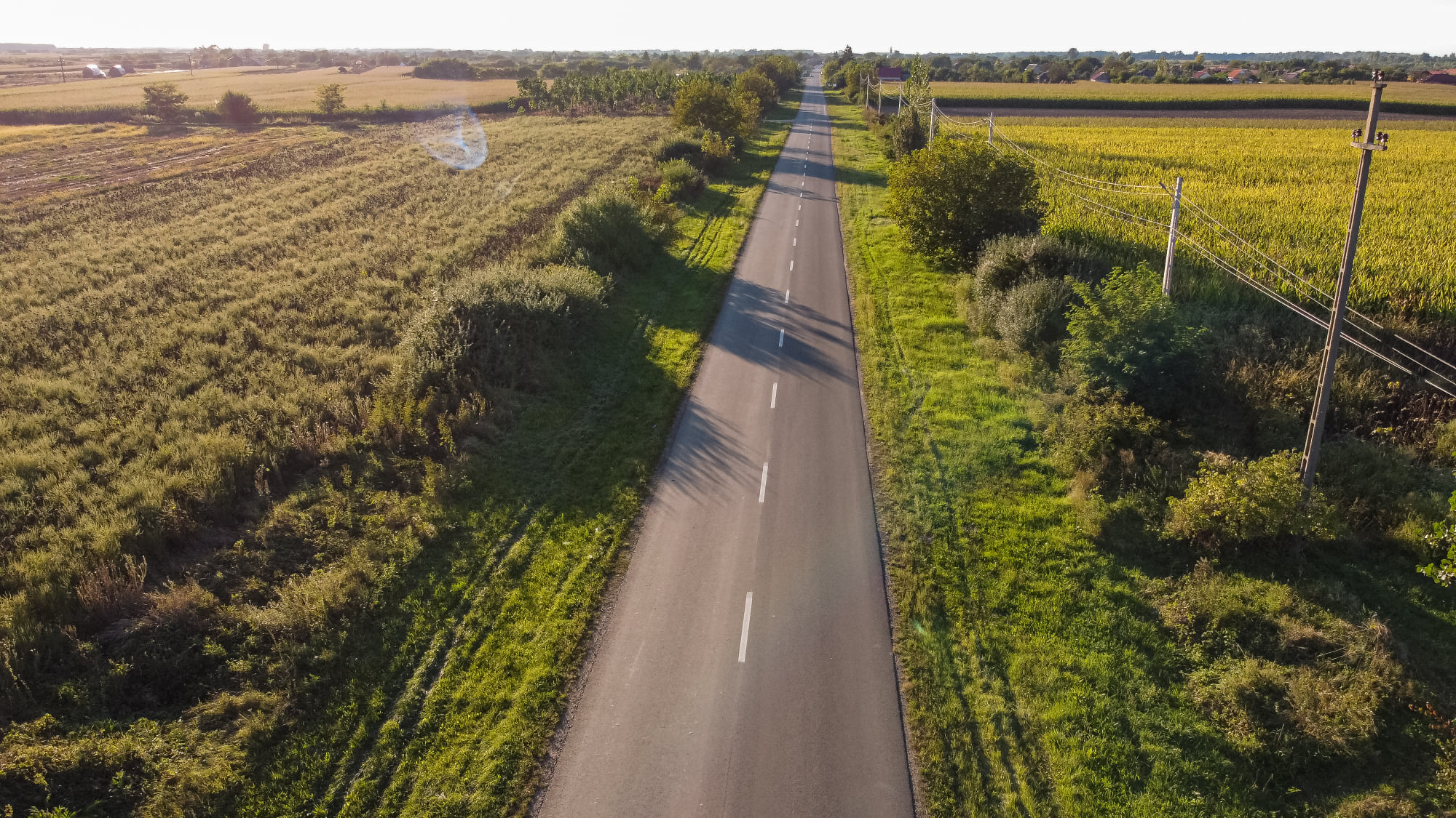 Plantare de copaci de-a lungul drumului comunal DC 60