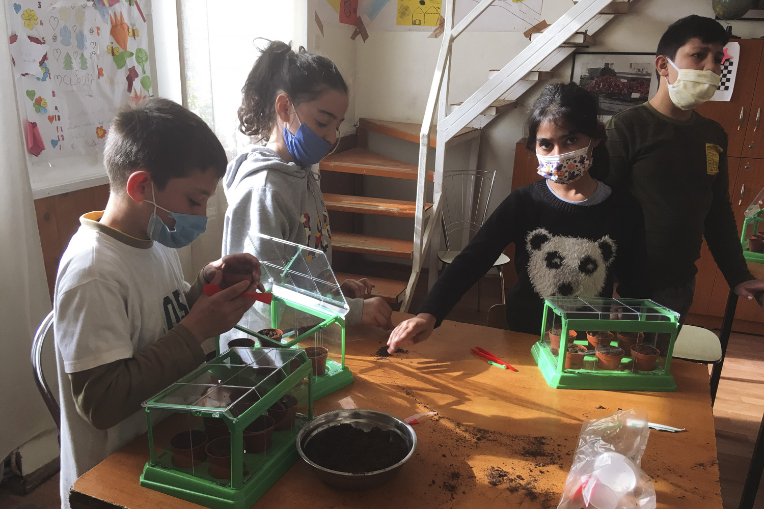 Start la grădinărit! Terapie prin horticultură cu copiii din mediile defavorizate