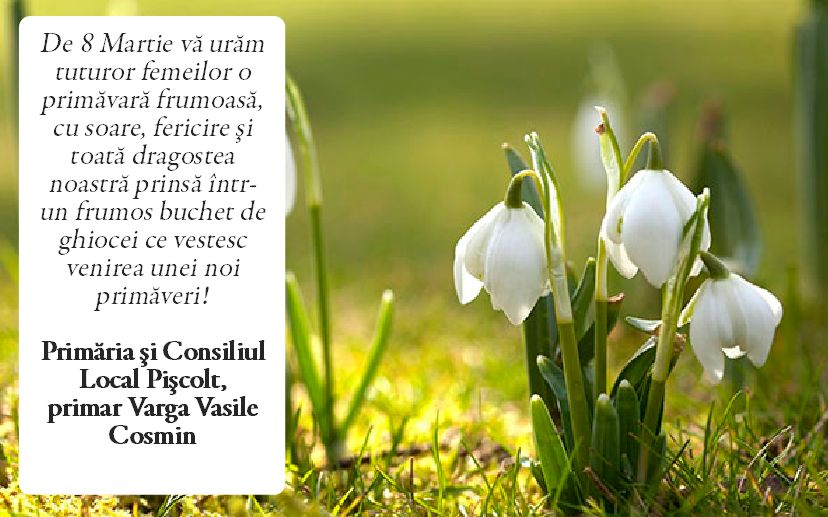 Felicitare “8 Martie” PISCOLT