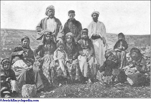 Evoluția demografică a evreilor din comitatul Satu Mare. La început au fost priviţi cu reticienţă de autohtoni