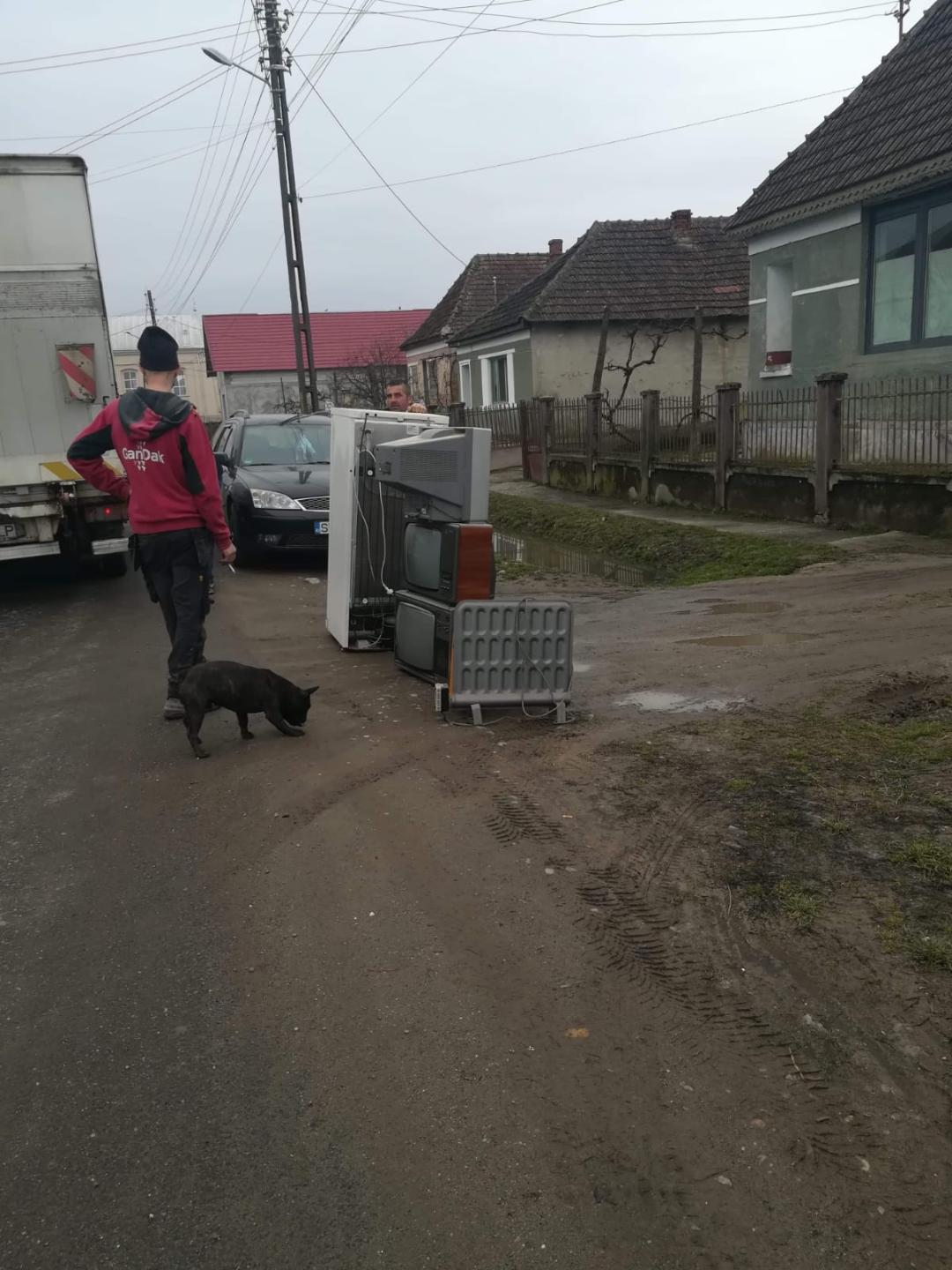 Programul ecologic ”Colectează, reaciclează, creează”, în plină desfășurare în județ