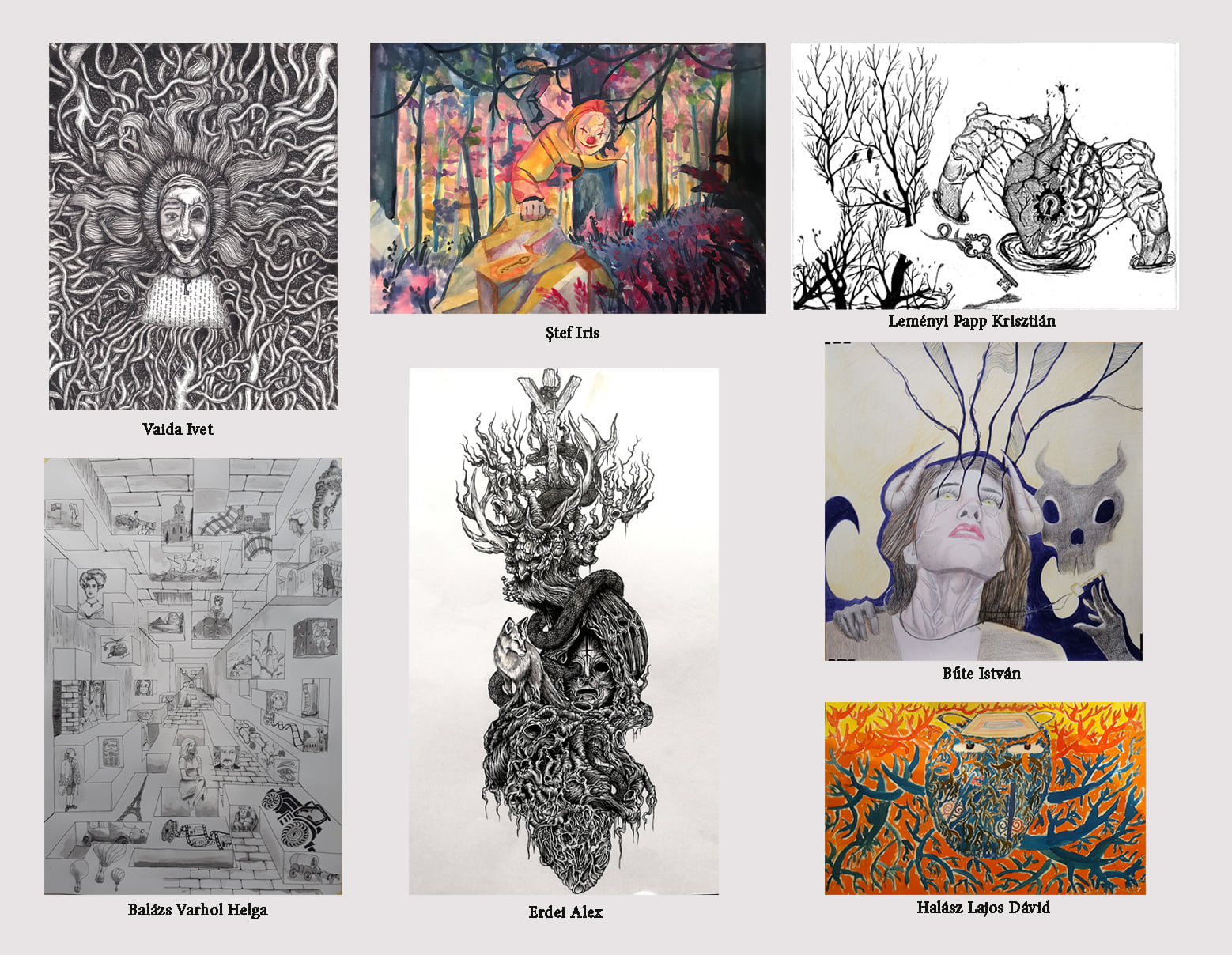 Premianţii Liceului de Arte „Aurel Popp”, Satu Mare