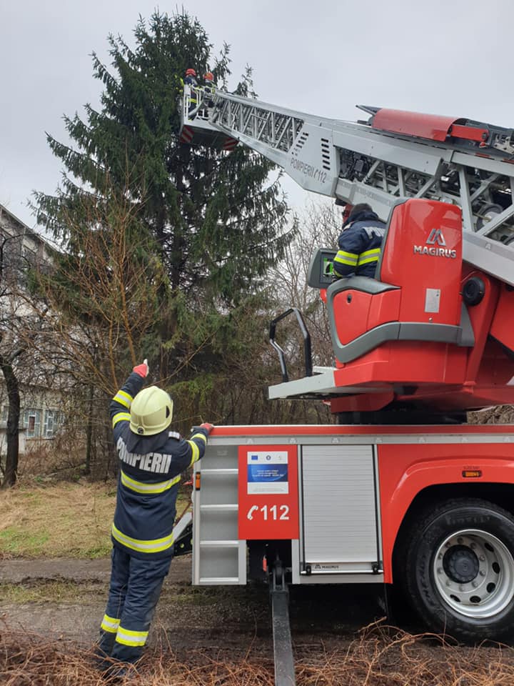 Misiune inedită pentru pompierii sătmăreni