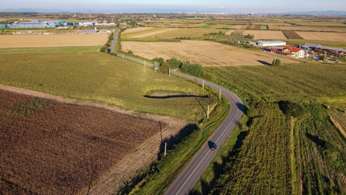 Plantare de copaci pe drumul dintre Vetiș și Oar