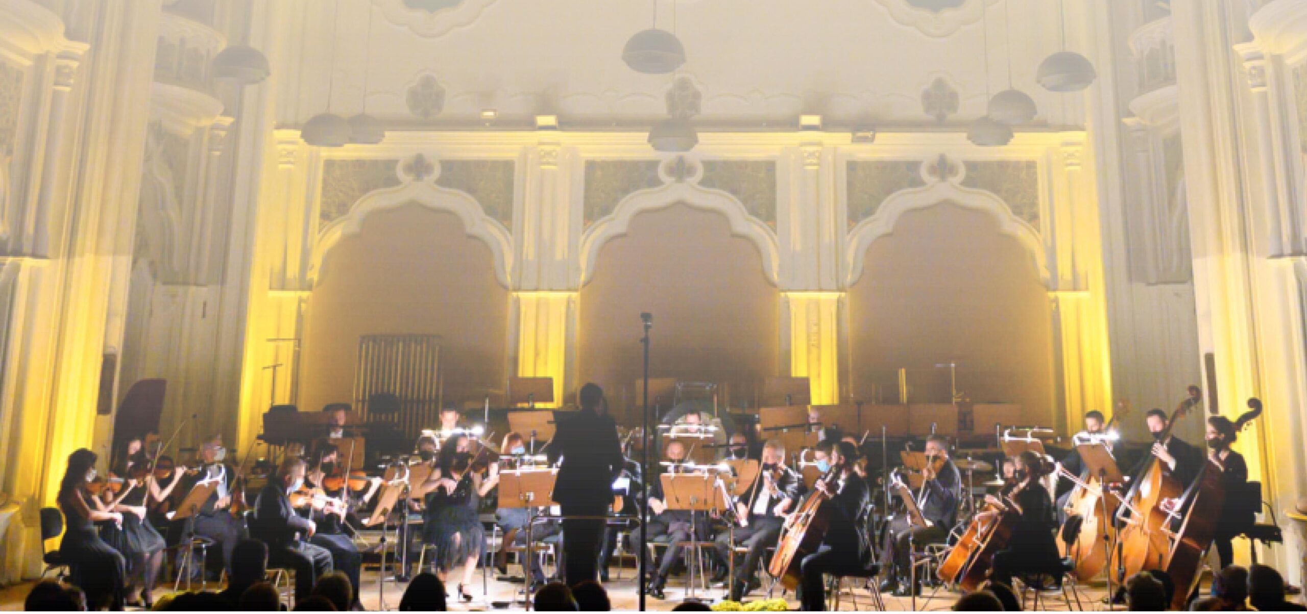 Concert simfonic la Carei