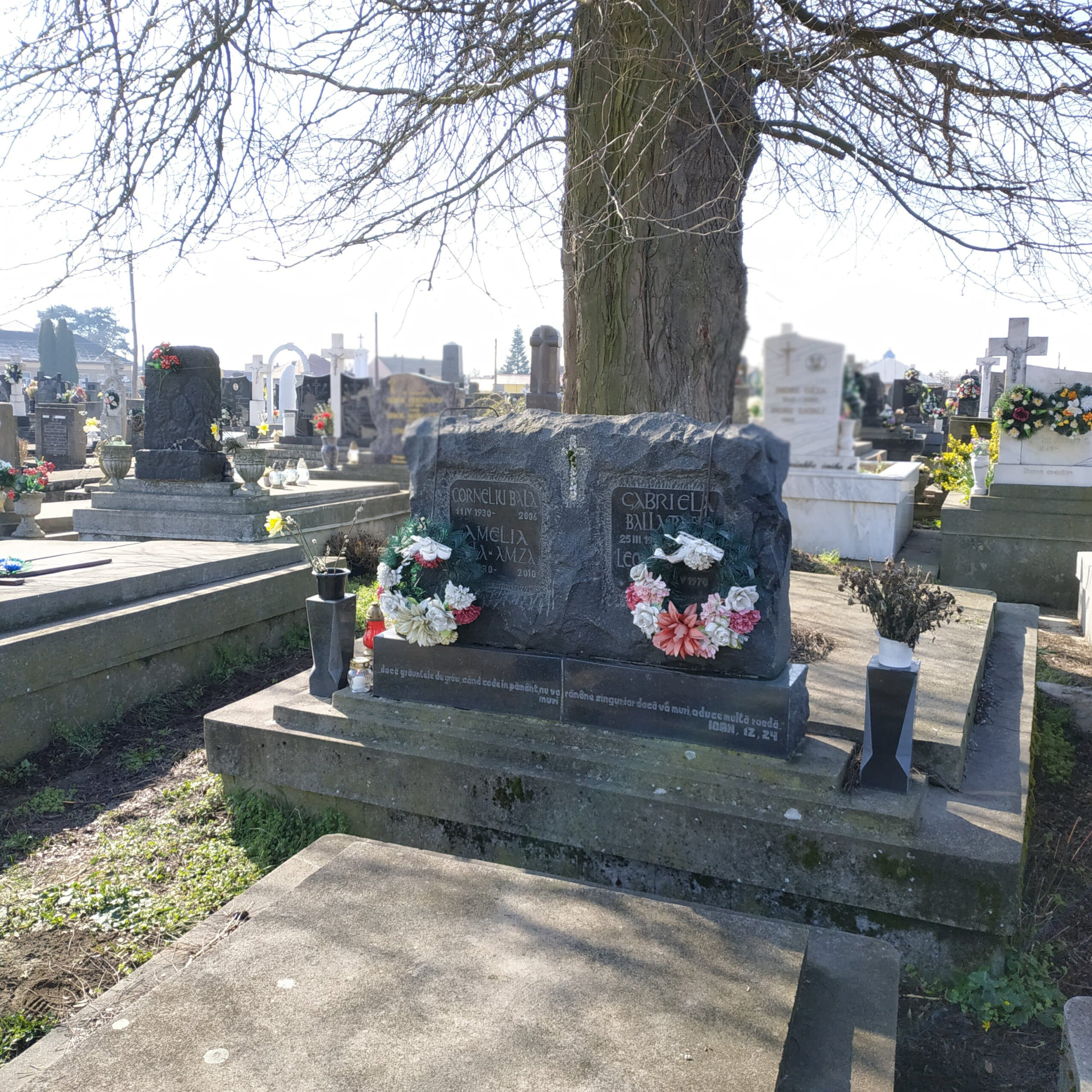 Comemorarea poetului Corneliu Balla