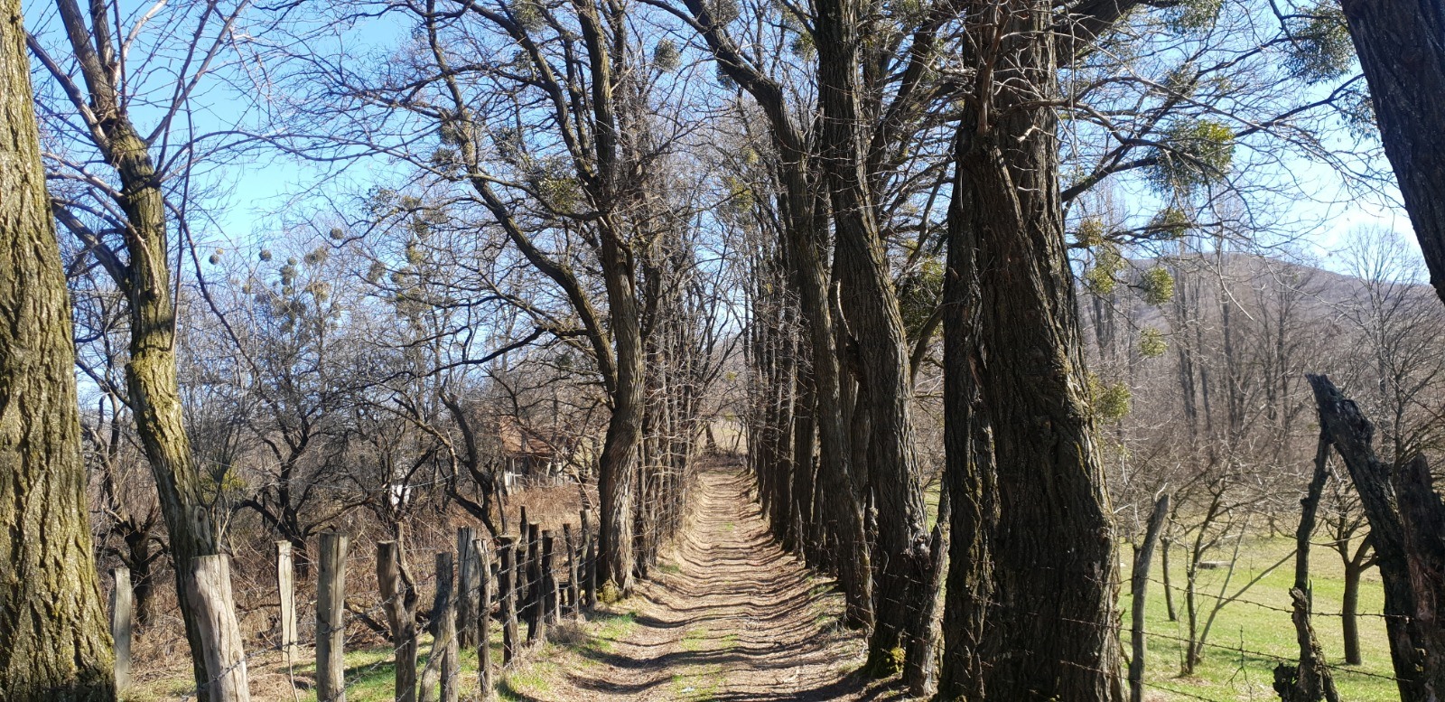 Destinații de weekend. Un traseu din poveste Cămârzana - Vf. Frăsinașu ( 639 metri )