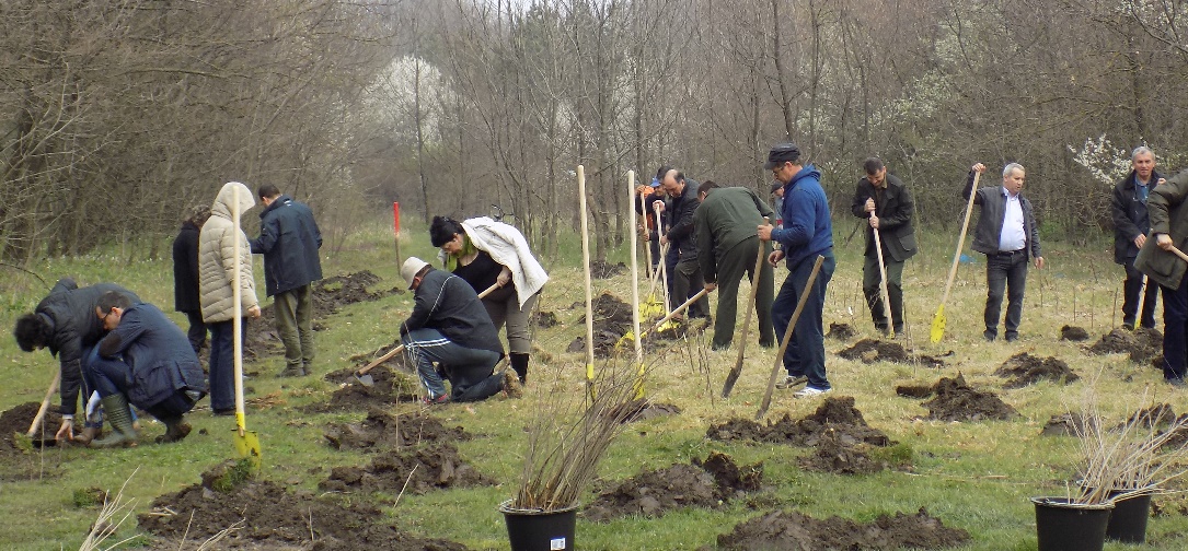 Campanie de plantare de arbori de Luna Pădurii la Satu Mare