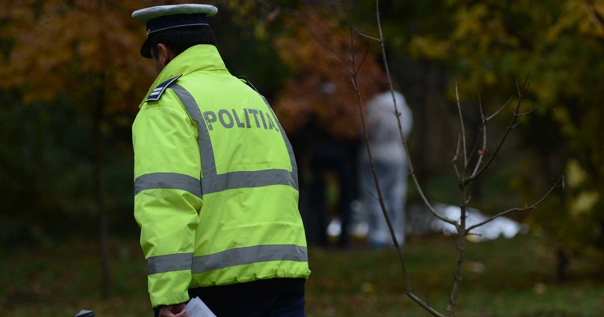 Suicid in Bihor. Un inginer s-a împușcat cu o armă de asomat porci