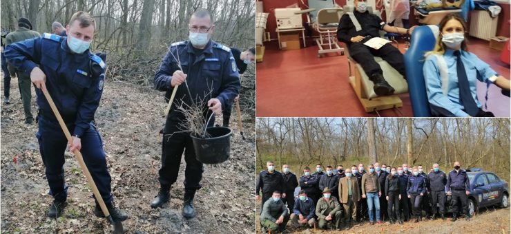 Ziua Jandarmeriei marcată prin donare de sânge si plantarea a 171 de sterari